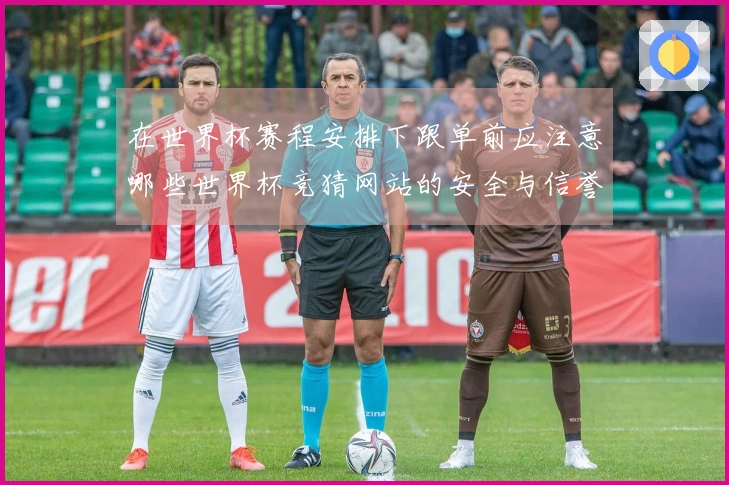 在世界杯赛程安排下跟单前应注意哪些世界杯竞猜网站的安全与信誉